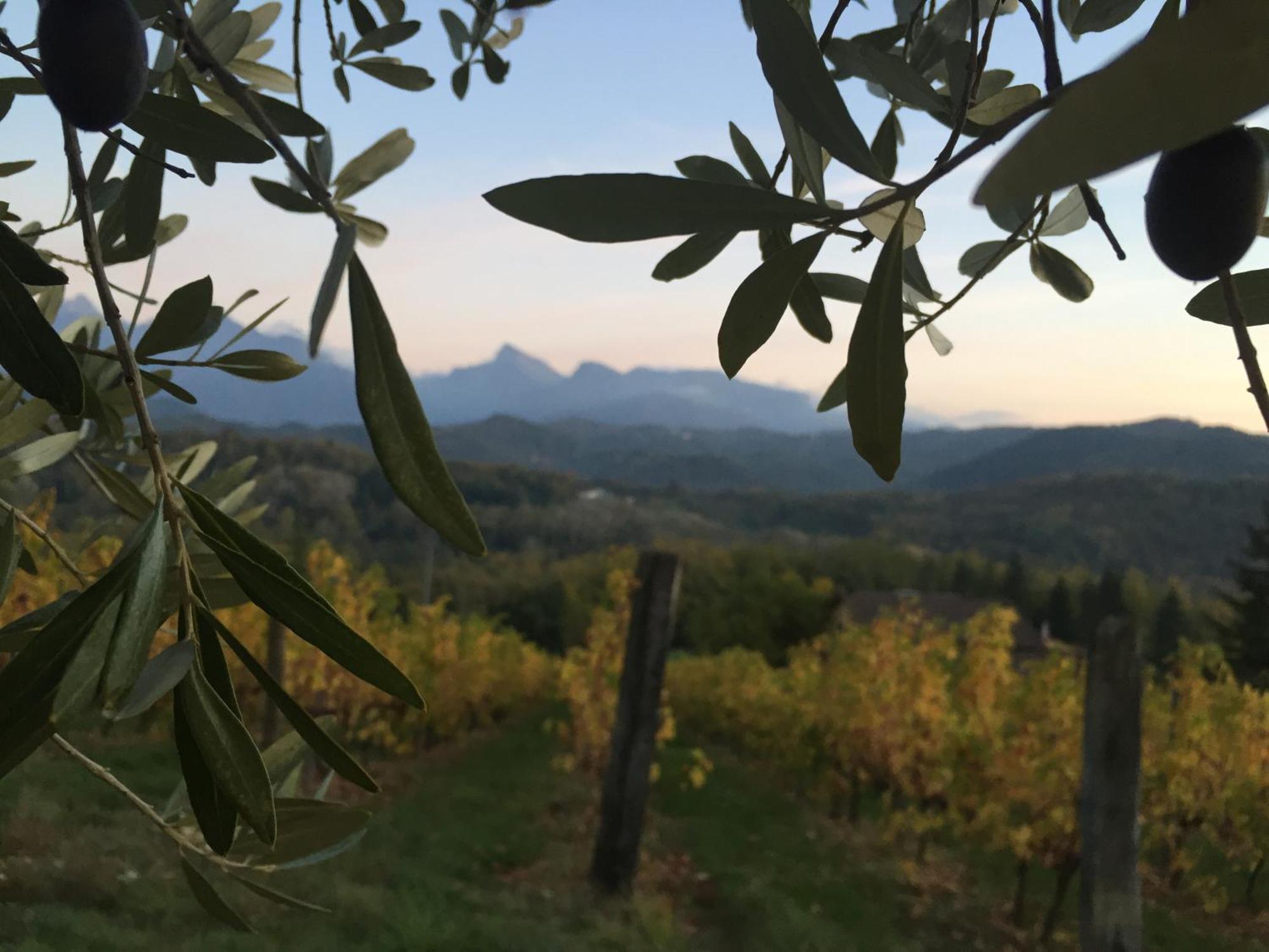 Agriturismo Il Bardellino Fivizzano Exterior foto