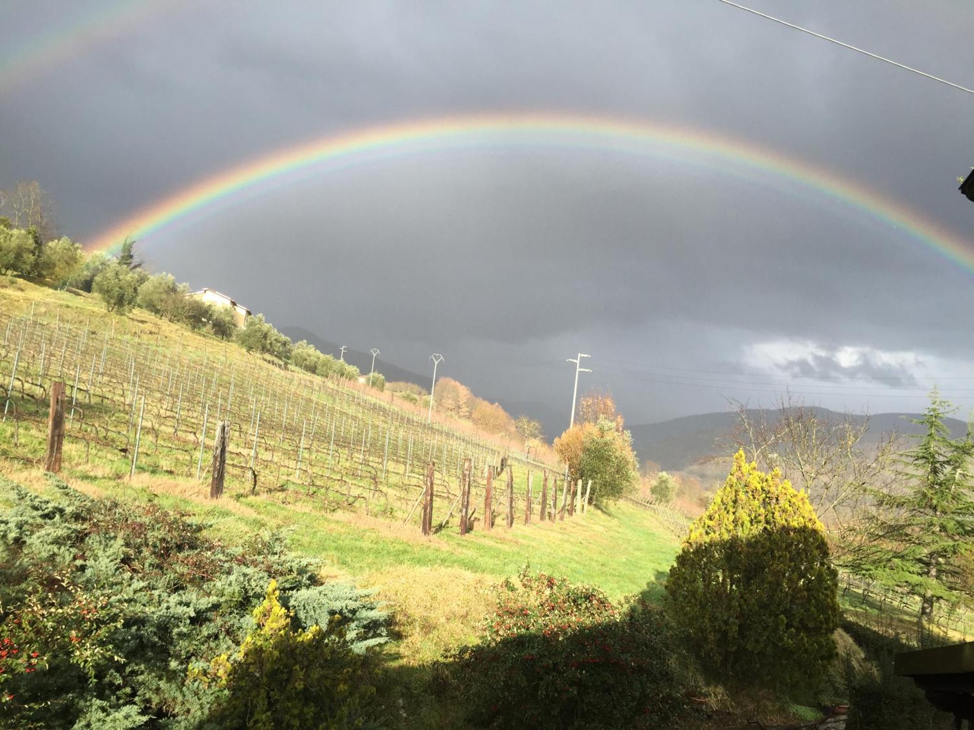 Agriturismo Il Bardellino Fivizzano Exterior foto